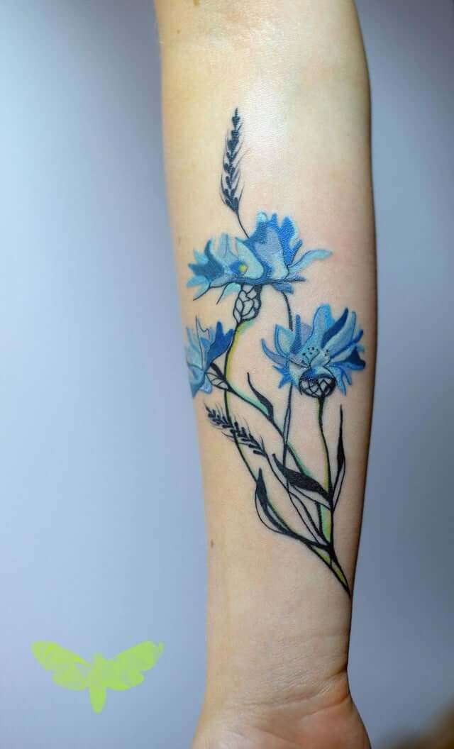 delicate cornflower tattoo design on forearm for girls