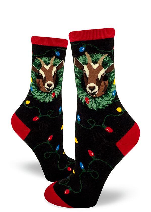 funny goat with christmas lights stockings