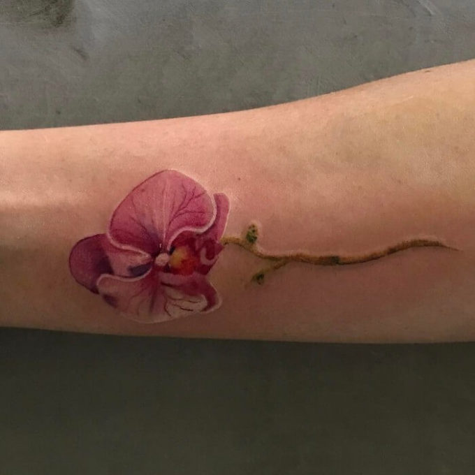 pink orchid flower tattoo on forearm
