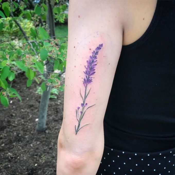 purple lavender sprig tattoo on back upper sleeve