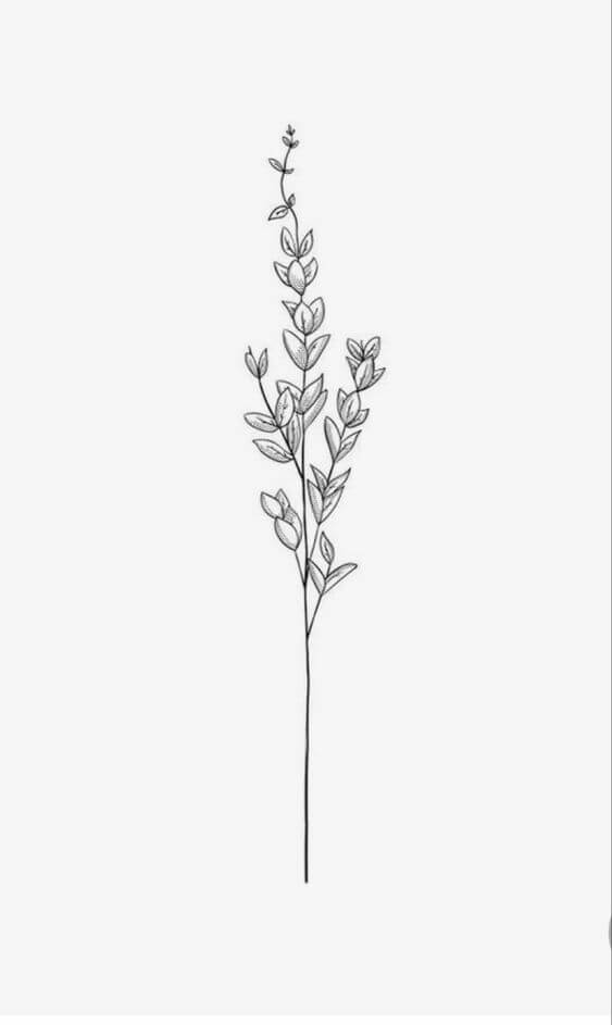 simple lavender sprig tattoo sketch