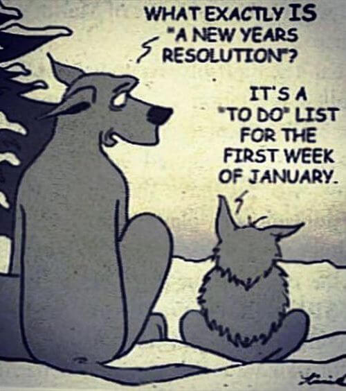new year resolution meme for 2021