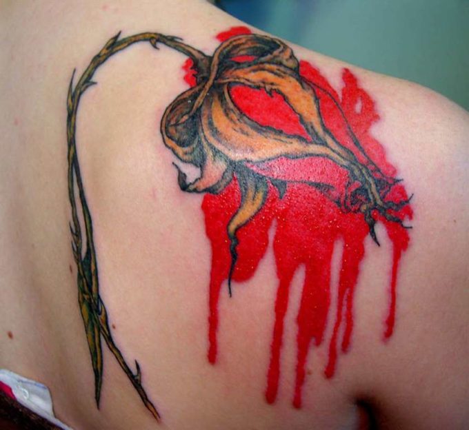 bleeding red rose bud tattoo on shoulder blade