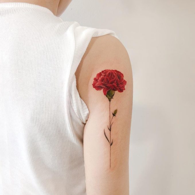 red carnation January birth flower tattoo design on back shoulder