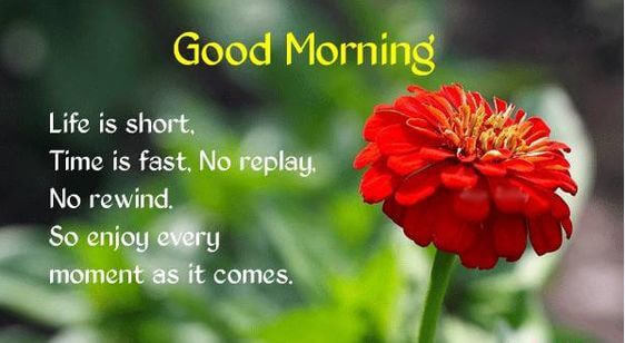 good morning sms message image