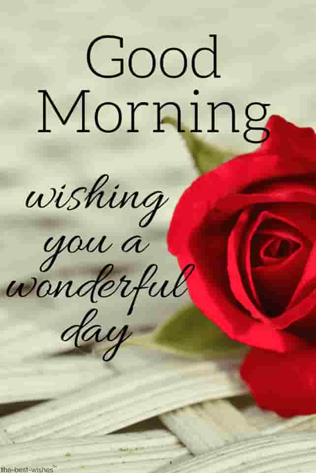 good morning wishes-message images