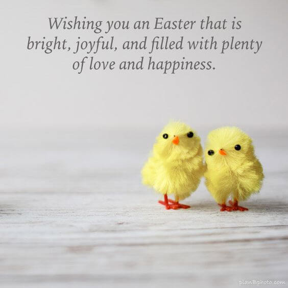 cute happiest Easter wishes image