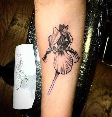 black and grey realistic iris flower tattoo design on forearm
