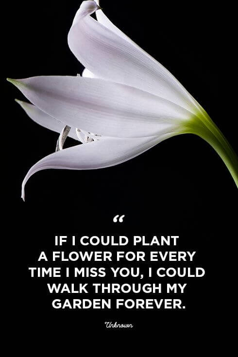 I miss you all the time quote for him-her