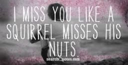 miss you funny quote