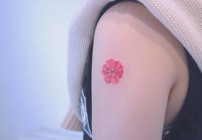 tiny primrose tattoo design on shoulder for females