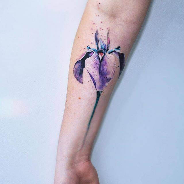 watercolor iris flower tattoo design on forearm