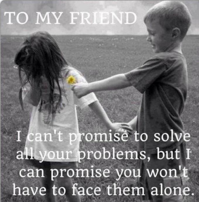 promise of friendship quote image
