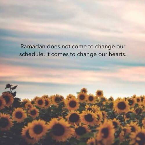 lovely ramadan message image