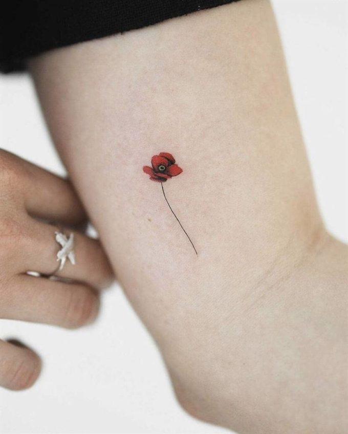 tiny august birth poppy flower tattoo design for females