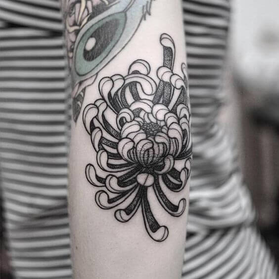 birth flower chrysanthemum tattoo design on elbow 
