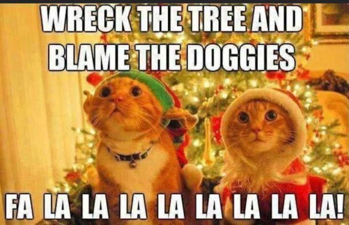 funny cats xmas meme