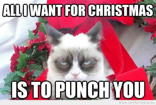 funny grumpy cat xmas meme