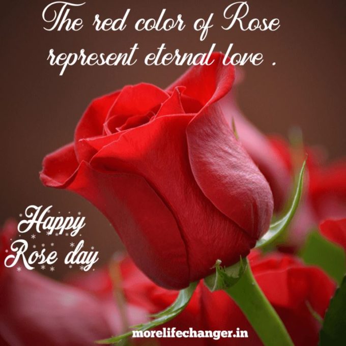 happy rose day love card image
