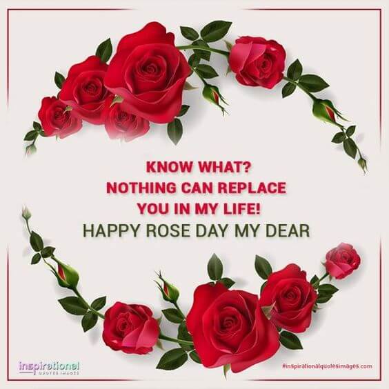 happy rose day message image for dear one