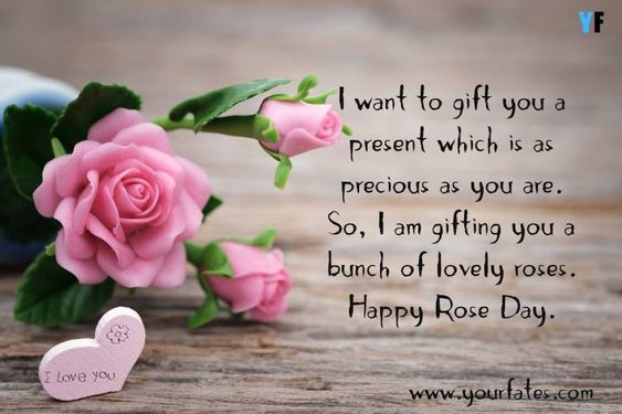 happy rose day pink roses love quote card image