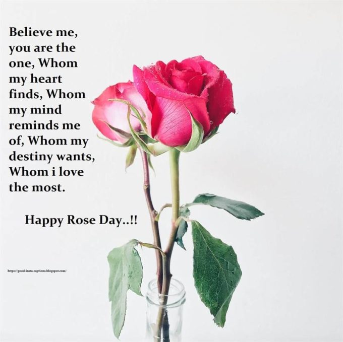 happy rose day love quote caption image 