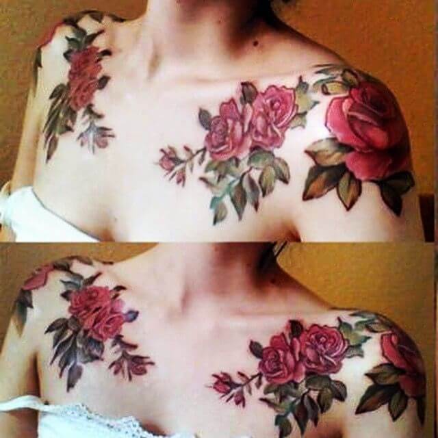 exquisite red roses vine plant tattoos designs on both shoulder for females