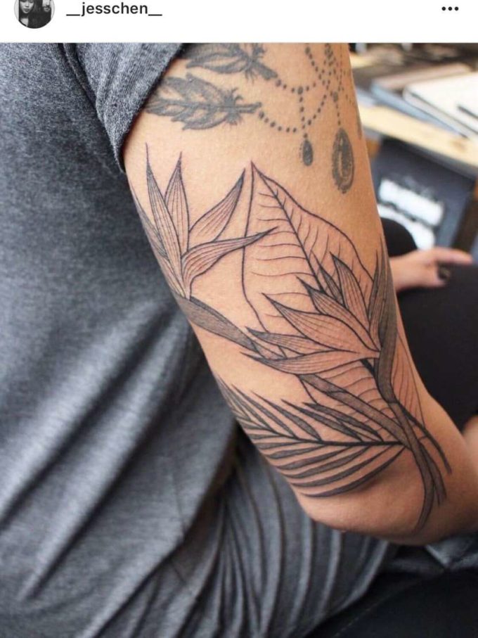 bird of paradise floral tattoo design idea on back arm for women