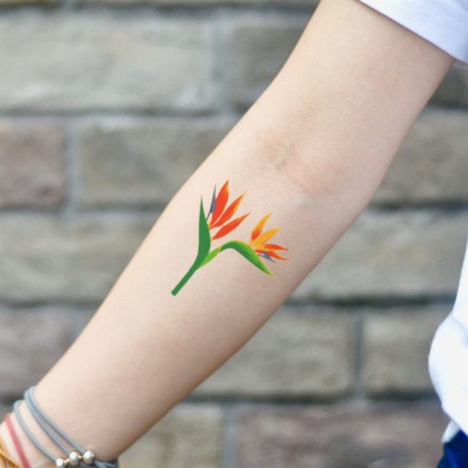 beautiful inked bird of paradise flower tattoo design idea on forearm for females