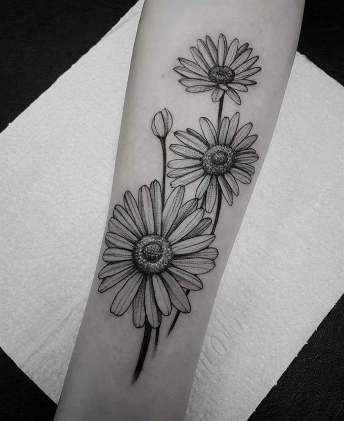 black and grey gerbera daisy flowers tattoo design idea on forearm for females
