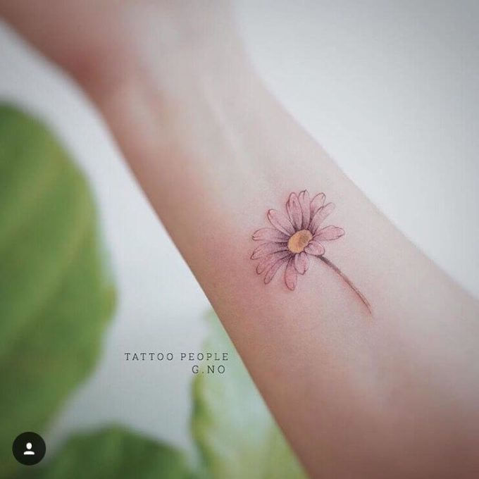 gerbera daisy flower sketch tattoo design idea on arm for females