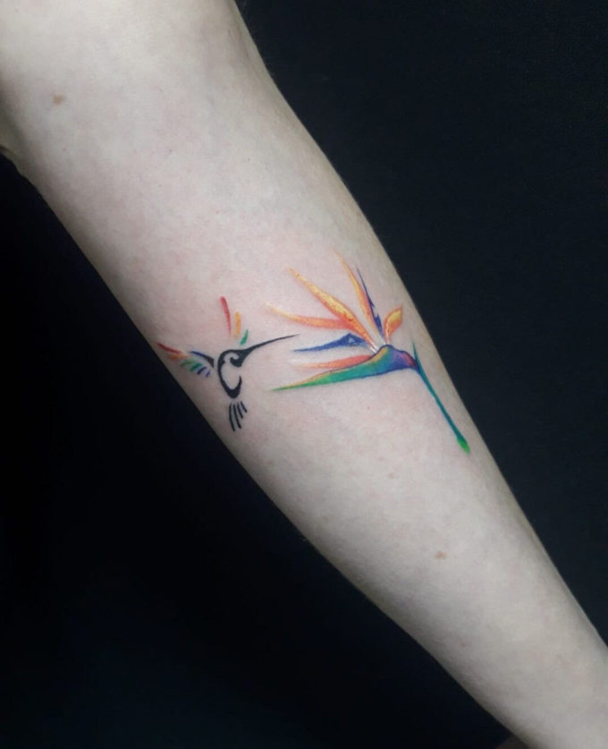 hummingbird with bird of paradise flower tattoo design idea on arm