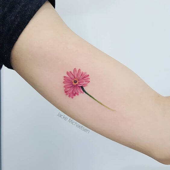 beautiful pink gerbera daisy flower tattoo design idea on arm for women