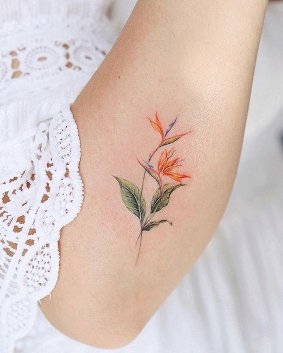 realistic bird of paradise flower tattoo design idea on elbow for females