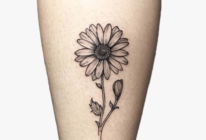 realistic gerbera daisy flower with buds tattoo design idea for women