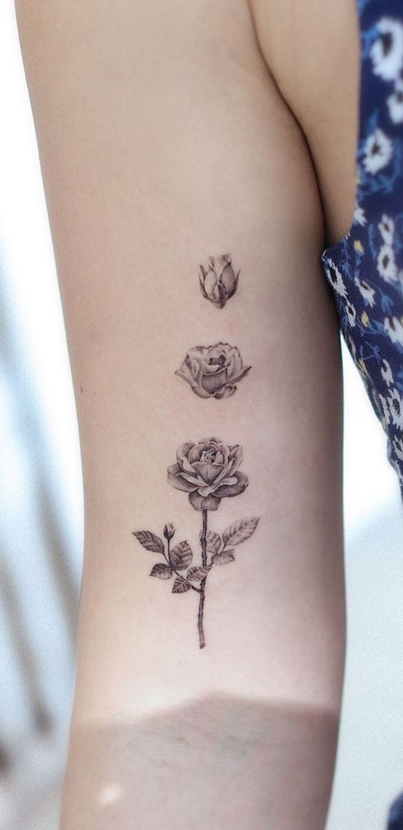 life cycle of rose june birth flower tattoo design idea on arm for females