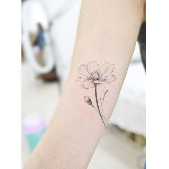 white cosmos october birth flower tattoo design idea on arm for females