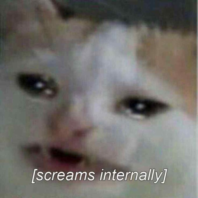 screams internally caption sad cat meme