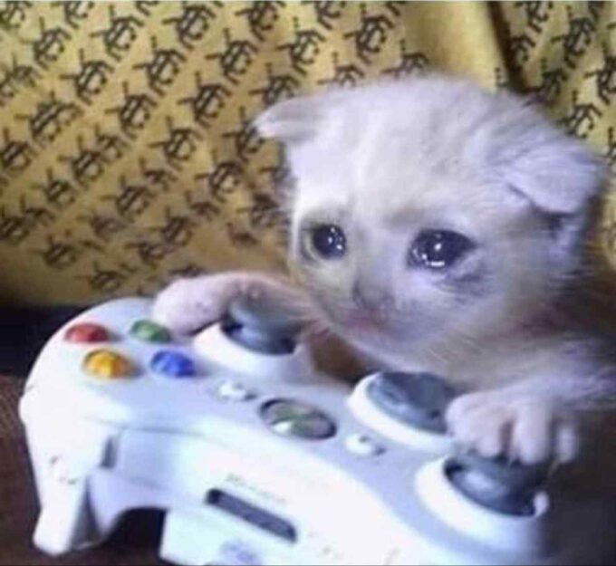playing on game console sad cat meme