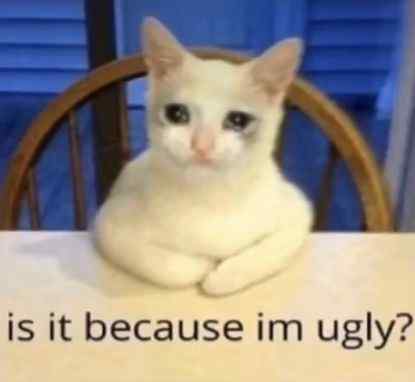 is it because im ugly caption sad cat meme