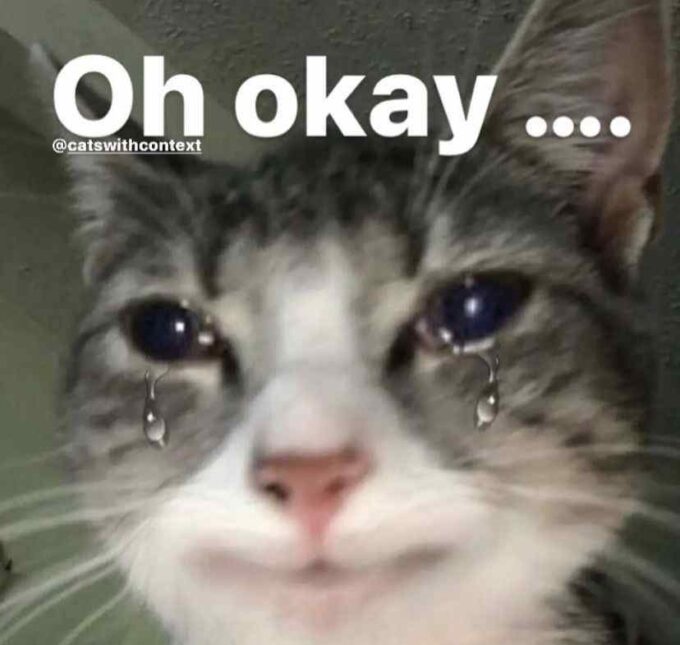 oh okay caption sad cat meme