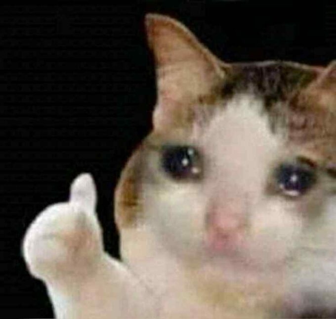 popular thumbs up sad cat meme