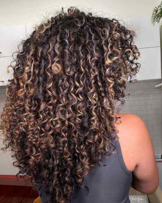 natural curly hair with brown highlights